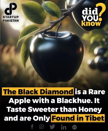 Super rare black - super, diamond